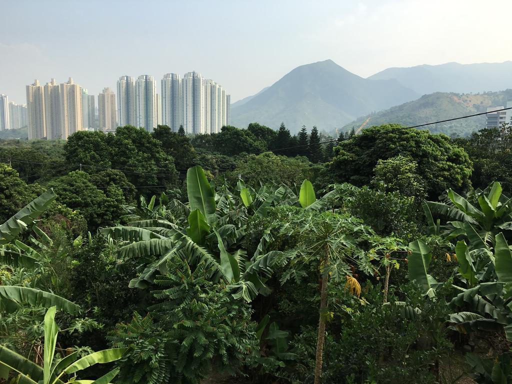City Oasis Guesthouse Hong Kong Dış mekan fotoğraf